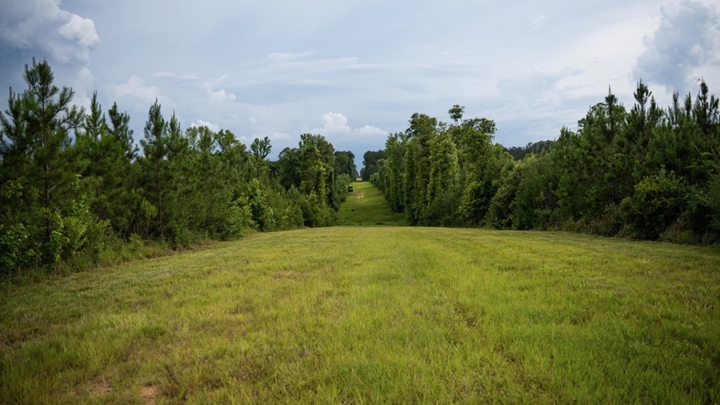 Mississippi Hunting Land – Easy 88 in Magnolia/Osyka