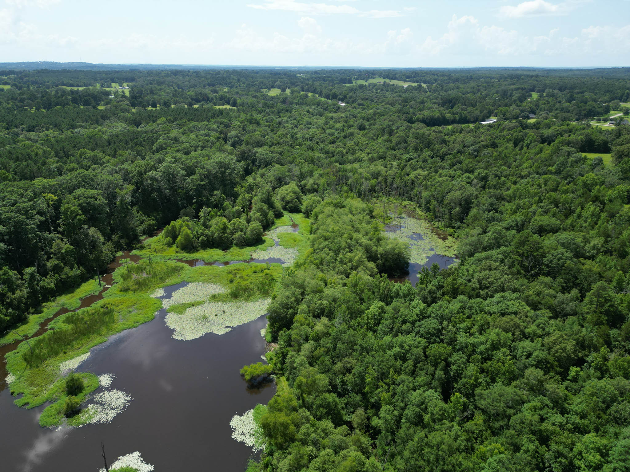 Gorgeous Acreage with Private Lake and Large House