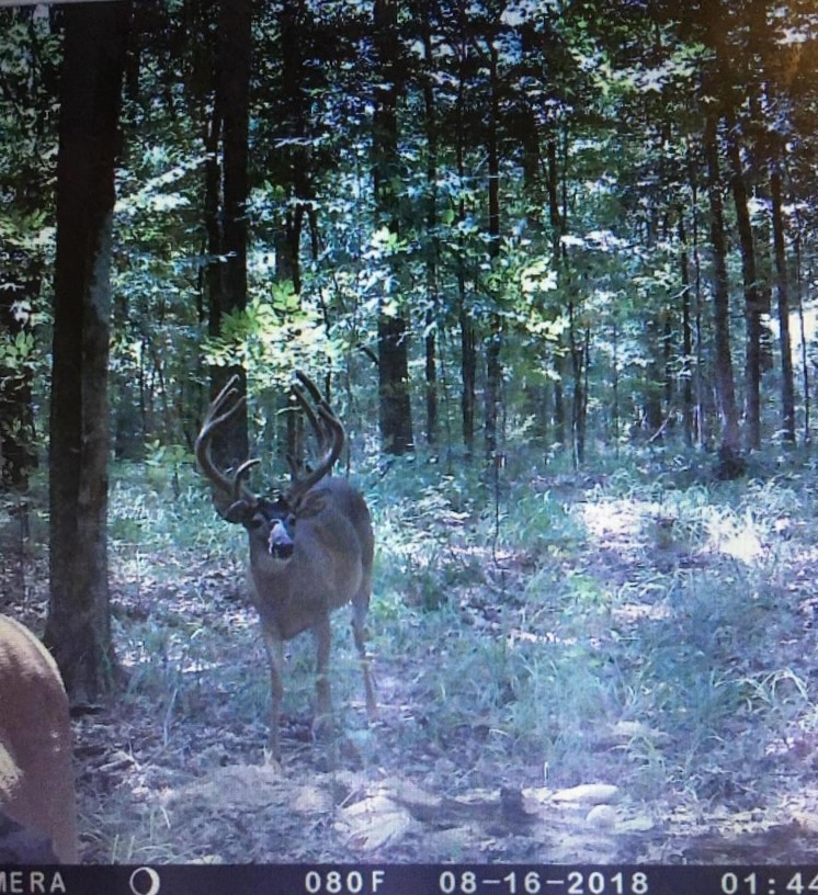 Great Homesite and Hunting Tract in Hermanville, MS