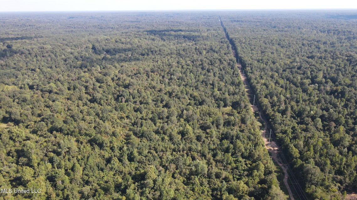 60 Acres For Sale In Yazoo County, MS