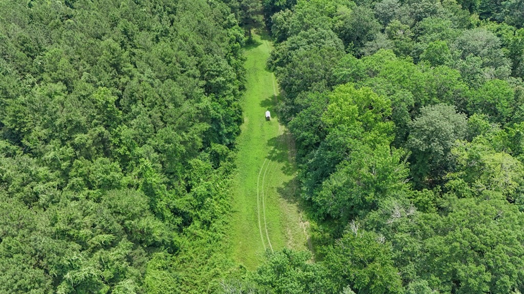 345 Acres with Camp, Creek bordering National Forest in SWMS