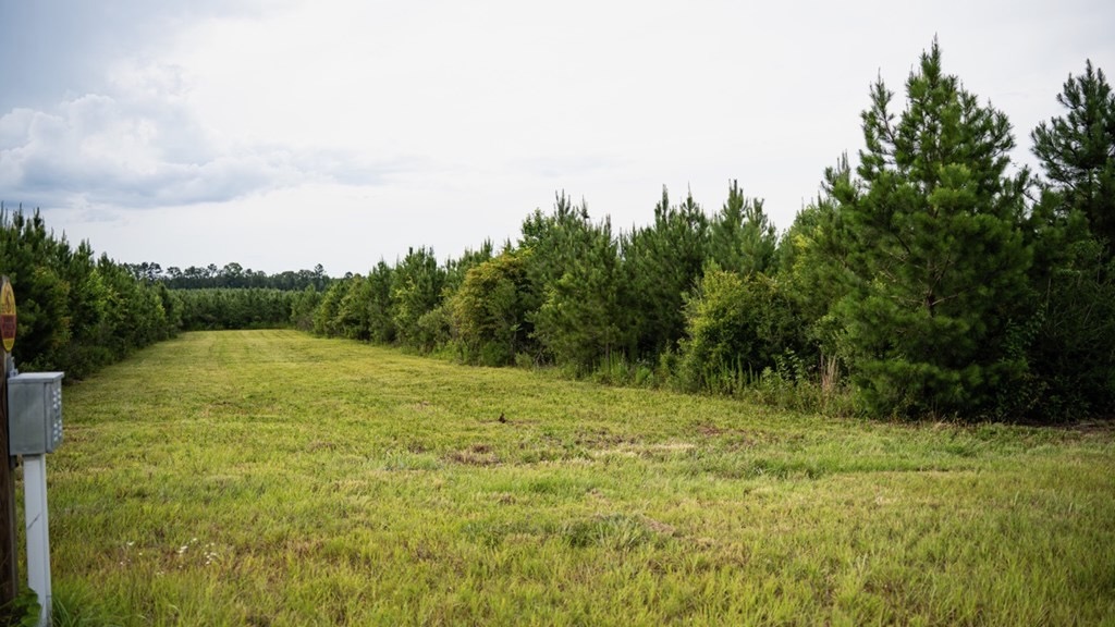 Mississippi Hunting Land – Easy 88 in Magnolia/Osyka