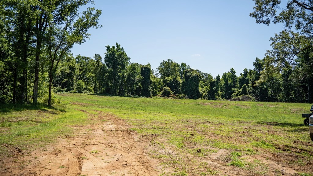 Hunting Land in Claiborne County, MS – Lonesome Pine