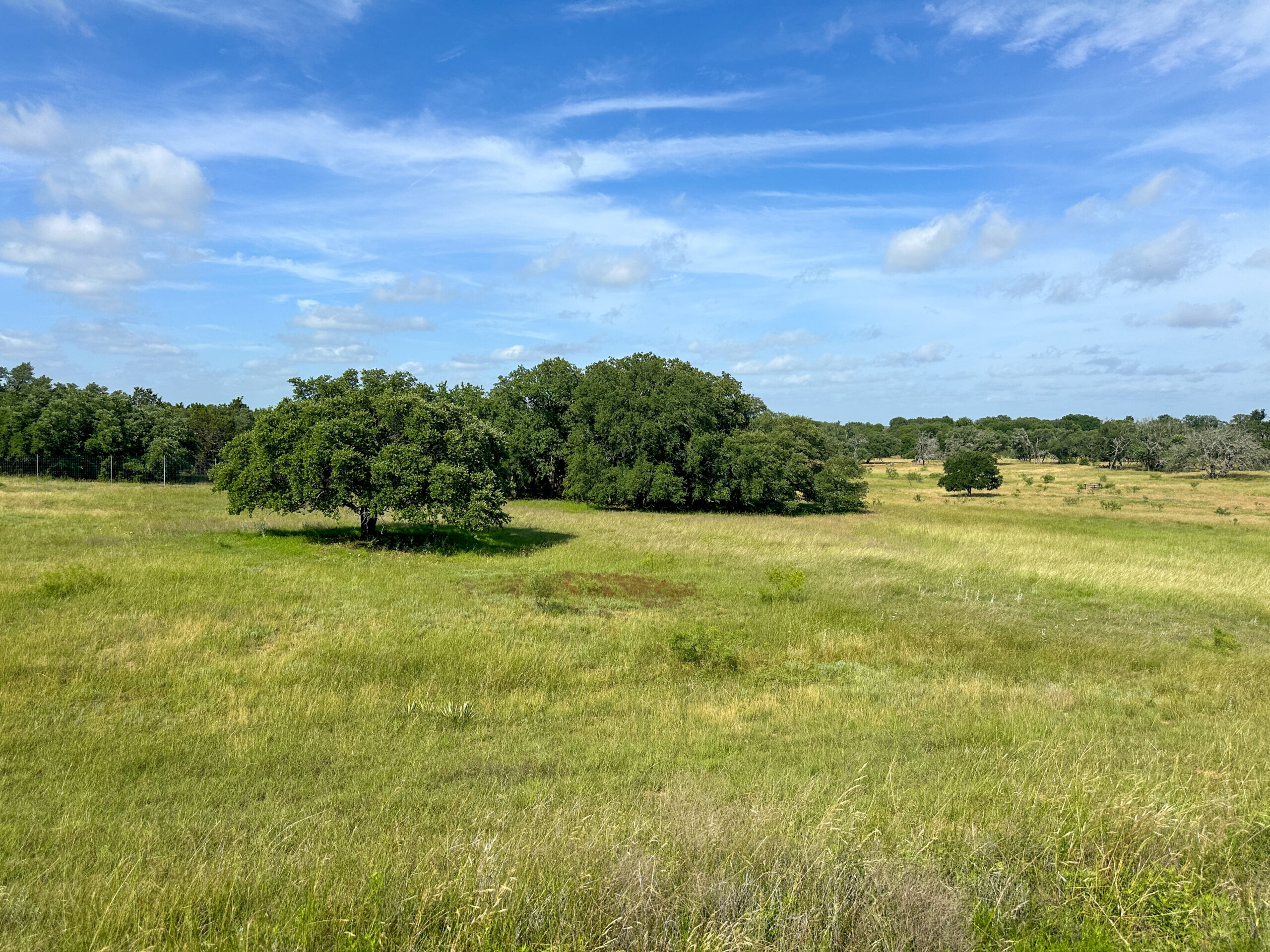 Own a Stunning Piece of Central Texas Land – Build, Hunt, or Escape