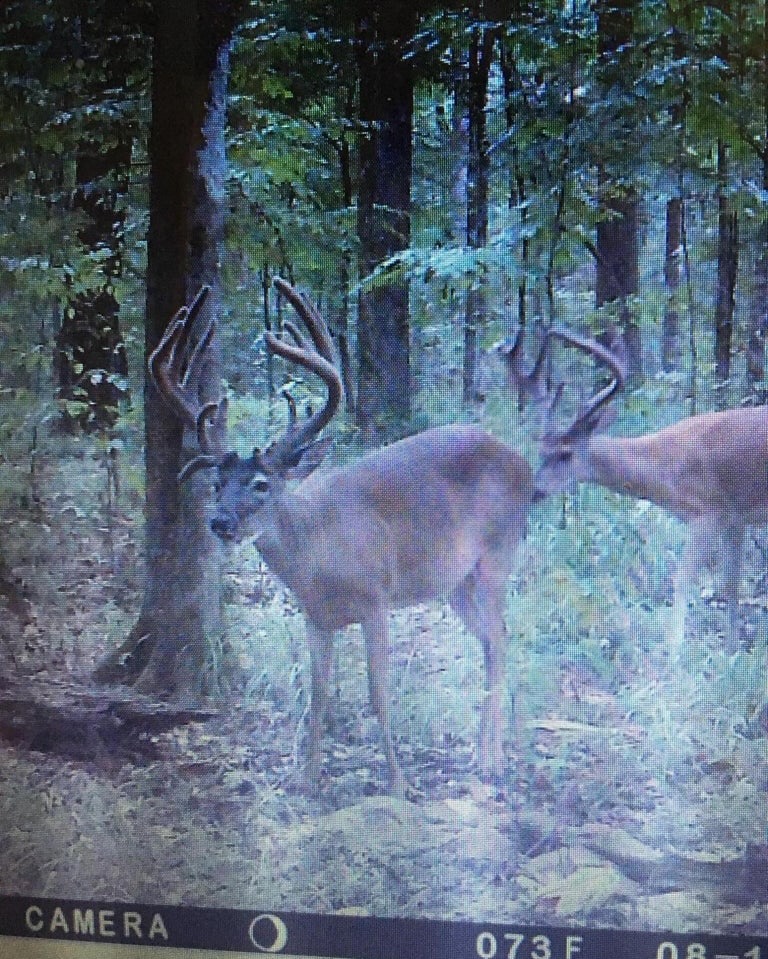 Great Homesite and Hunting Tract in Hermanville, MS