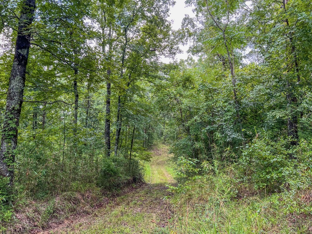 Hunting Land for Sale in Hinds County, MS