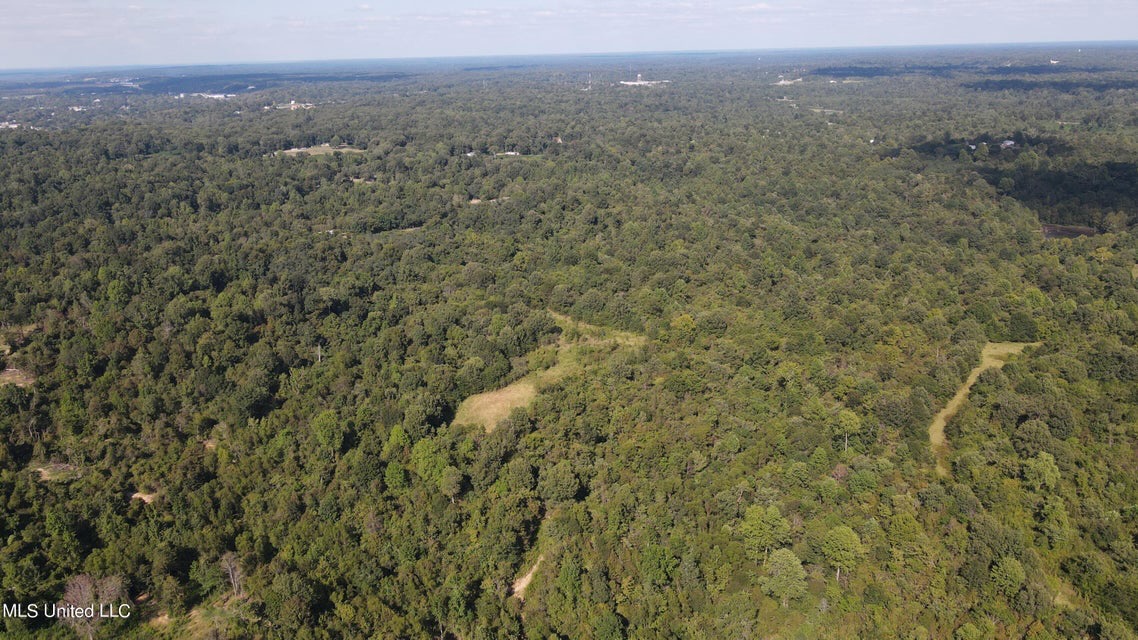 60 Acres For Sale In Yazoo County, MS