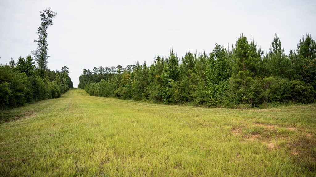 Mississippi Hunting Land – Easy 88 in Magnolia/Osyka
