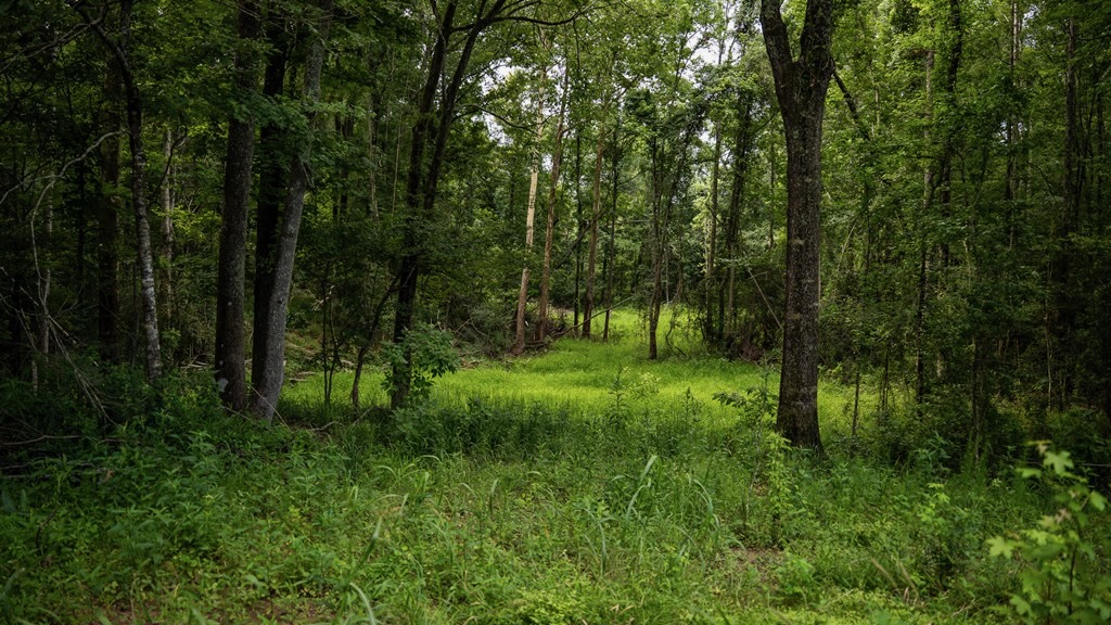 East Baton Rouge Recreational Land for Sale