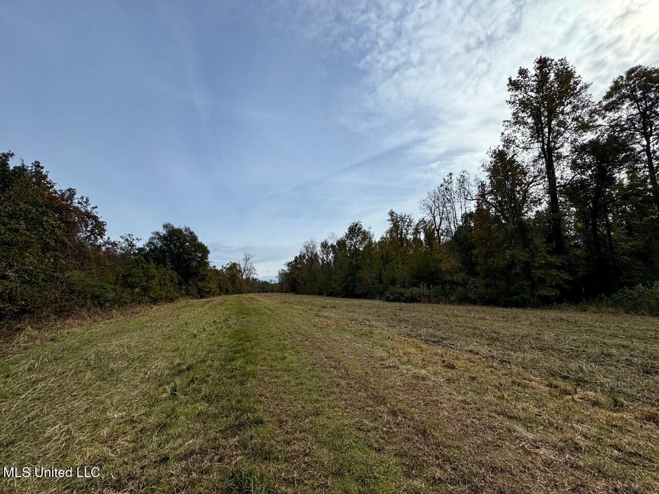 Tensas Parish LA – The Glade Hunting Property