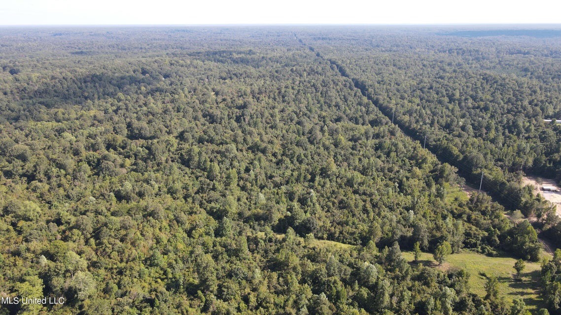 60 Acres For Sale In Yazoo County, MS