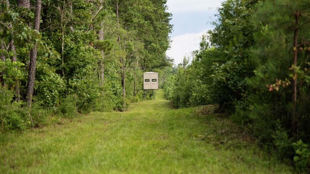 Mississippi Hunting Land – Easy 88 in Magnolia/Osyka