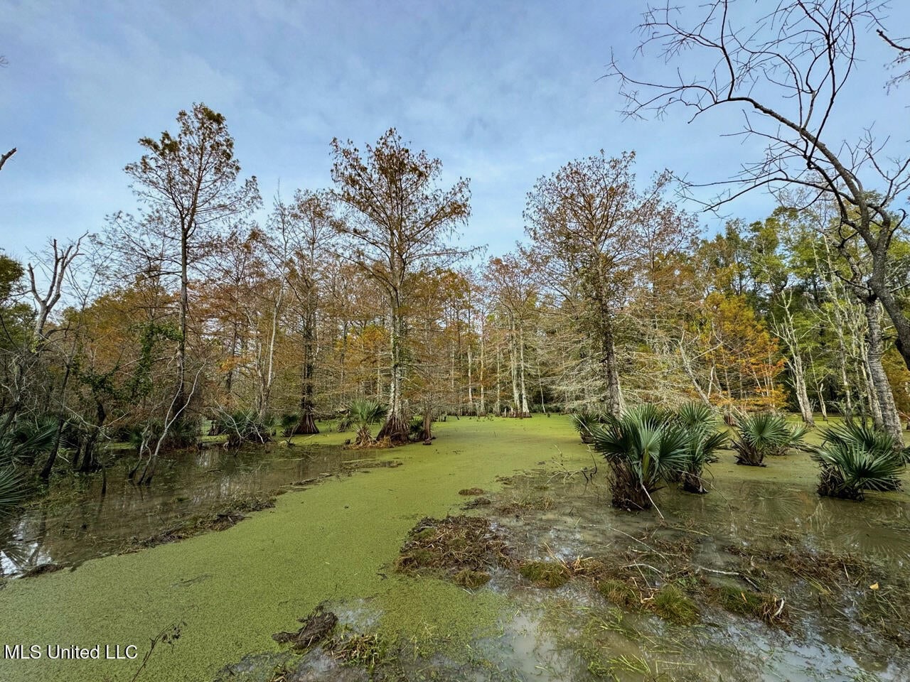 Tensas Parish LA – The Glade Hunting Property
