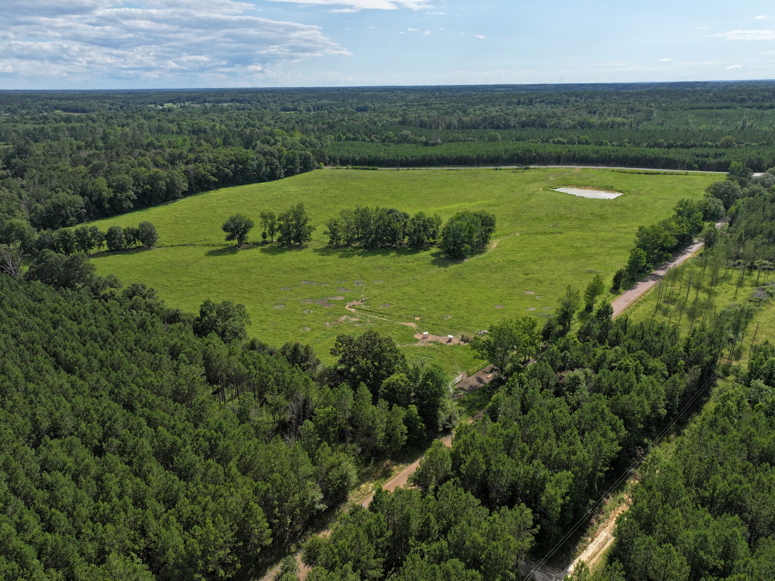 Cattle Farm For Sale also offers Good Hunting for Deer and Turkey
