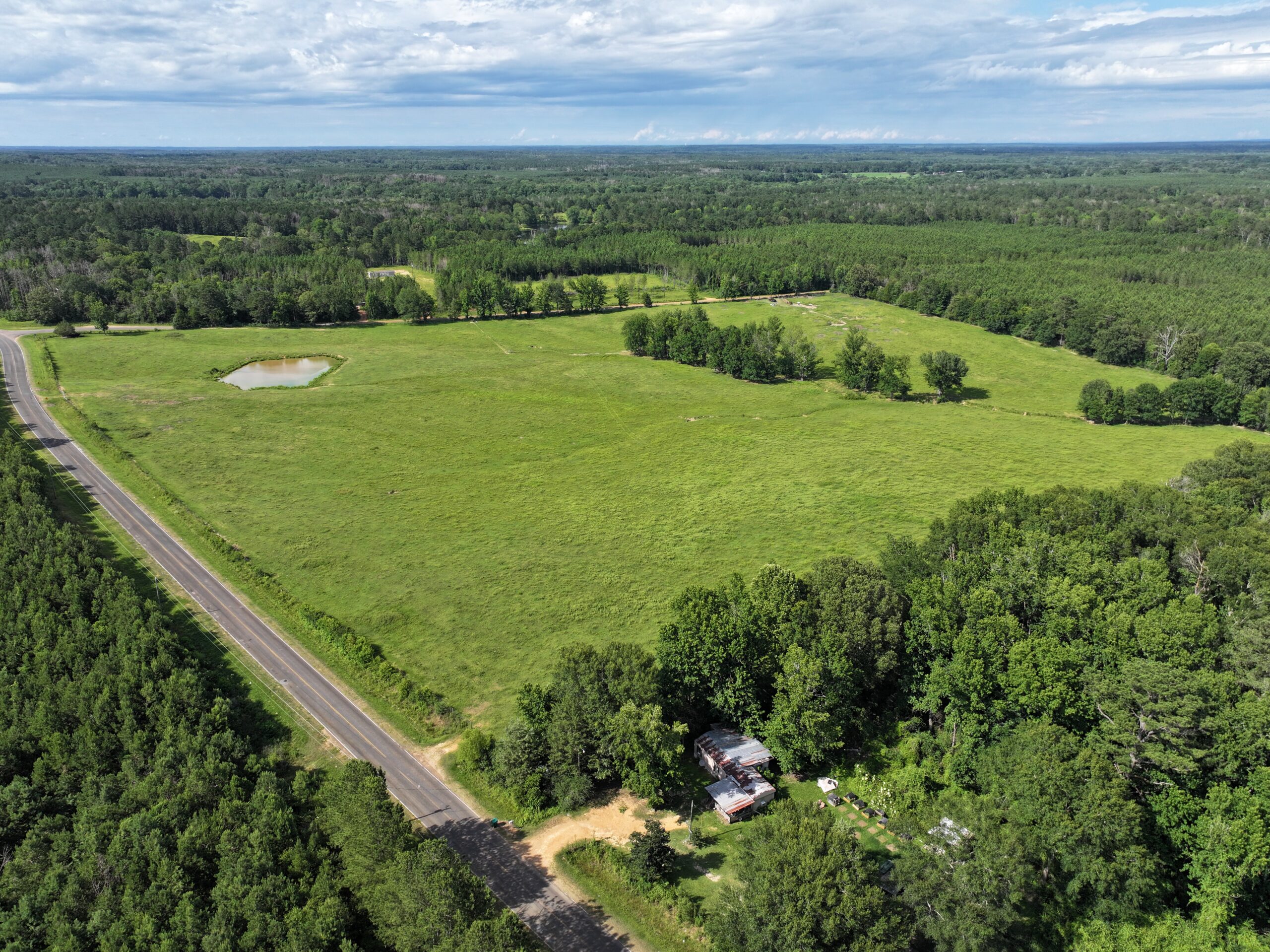 Cattle Farm For Sale also offers Good Hunting for Deer and Turkey