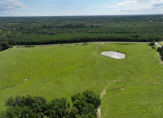 Cattle Farm For Sale also offers Good Hunting for Deer and Turkey