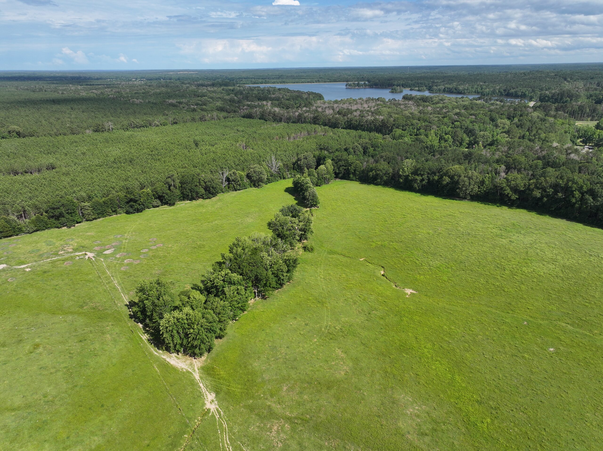 Cattle Farm For Sale also offers Good Hunting for Deer and Turkey