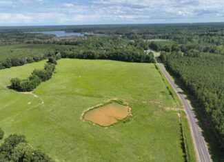Cattle Farm For Sale also offers Good Hunting for Deer and Turkey
