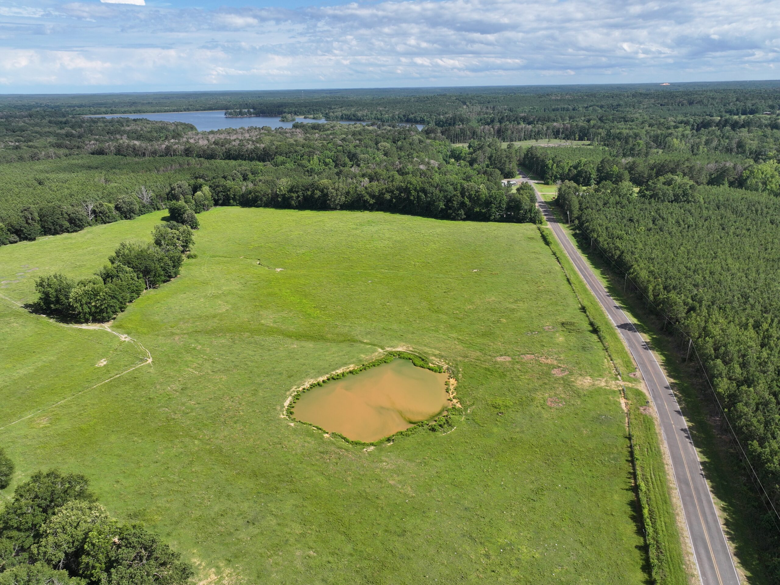 Cattle Farm For Sale also offers Good Hunting for Deer and Turkey