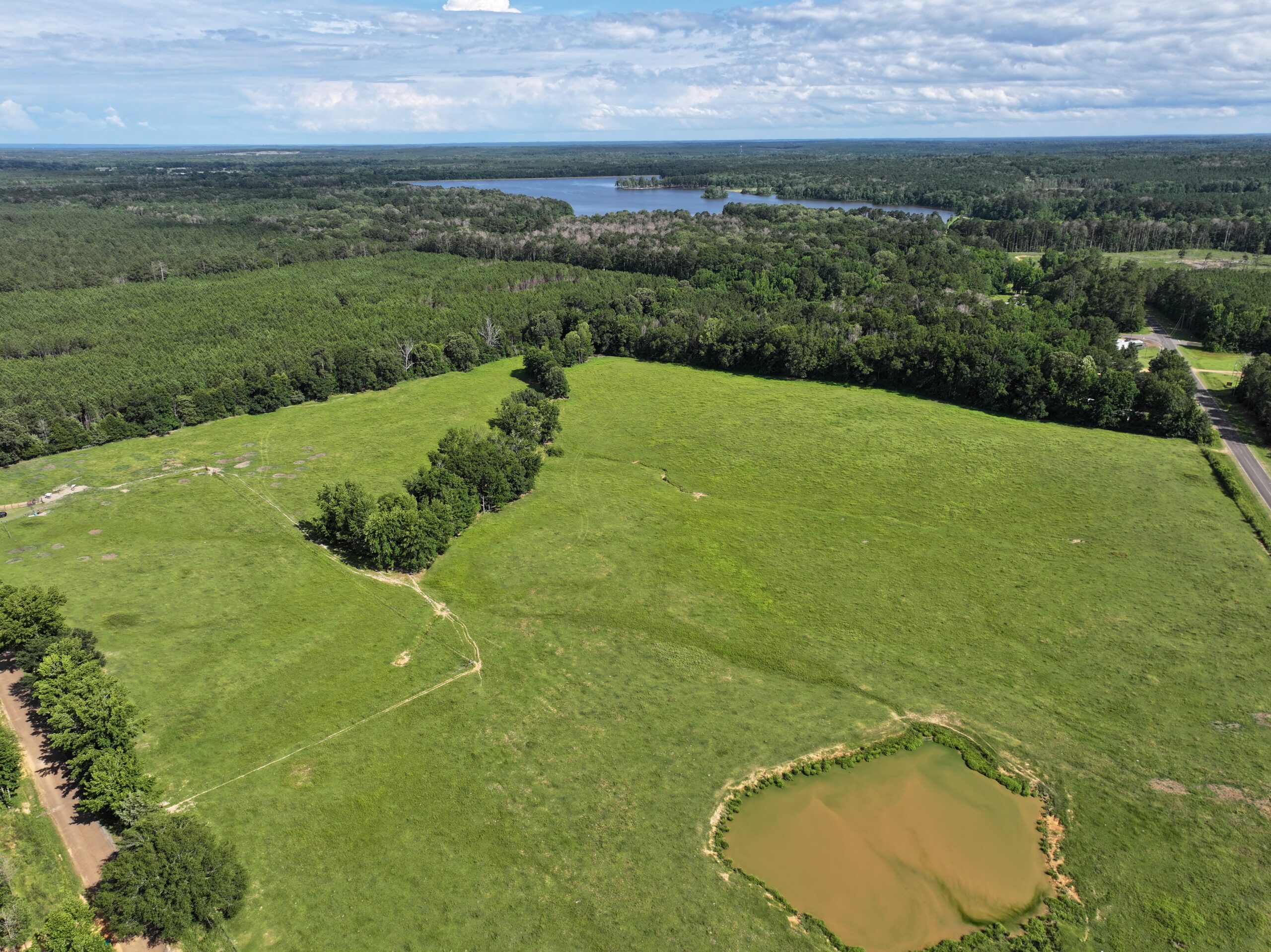 Cattle Farm For Sale also offers Good Hunting for Deer and Turkey
