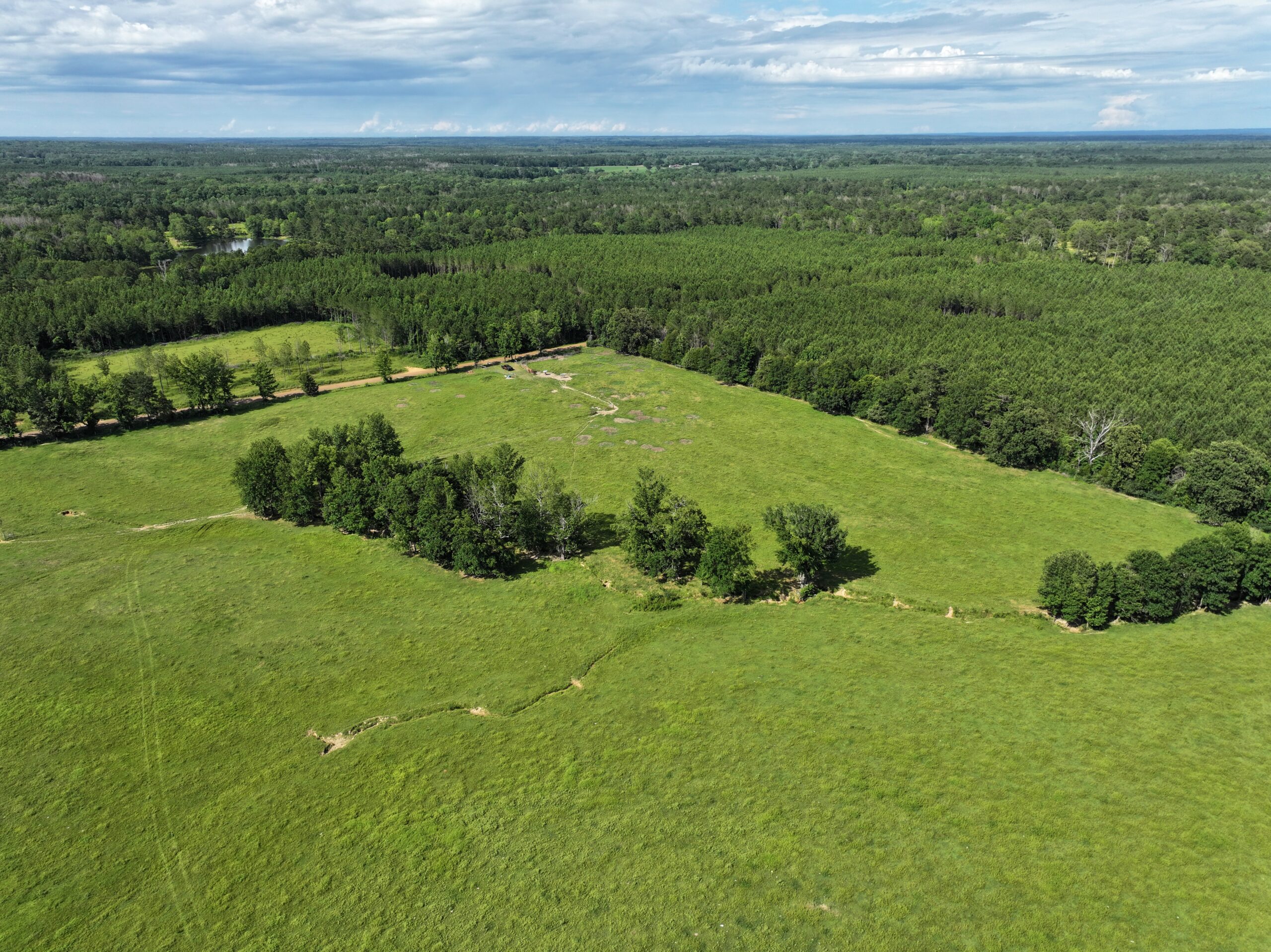 Cattle Farm For Sale also offers Good Hunting for Deer and Turkey