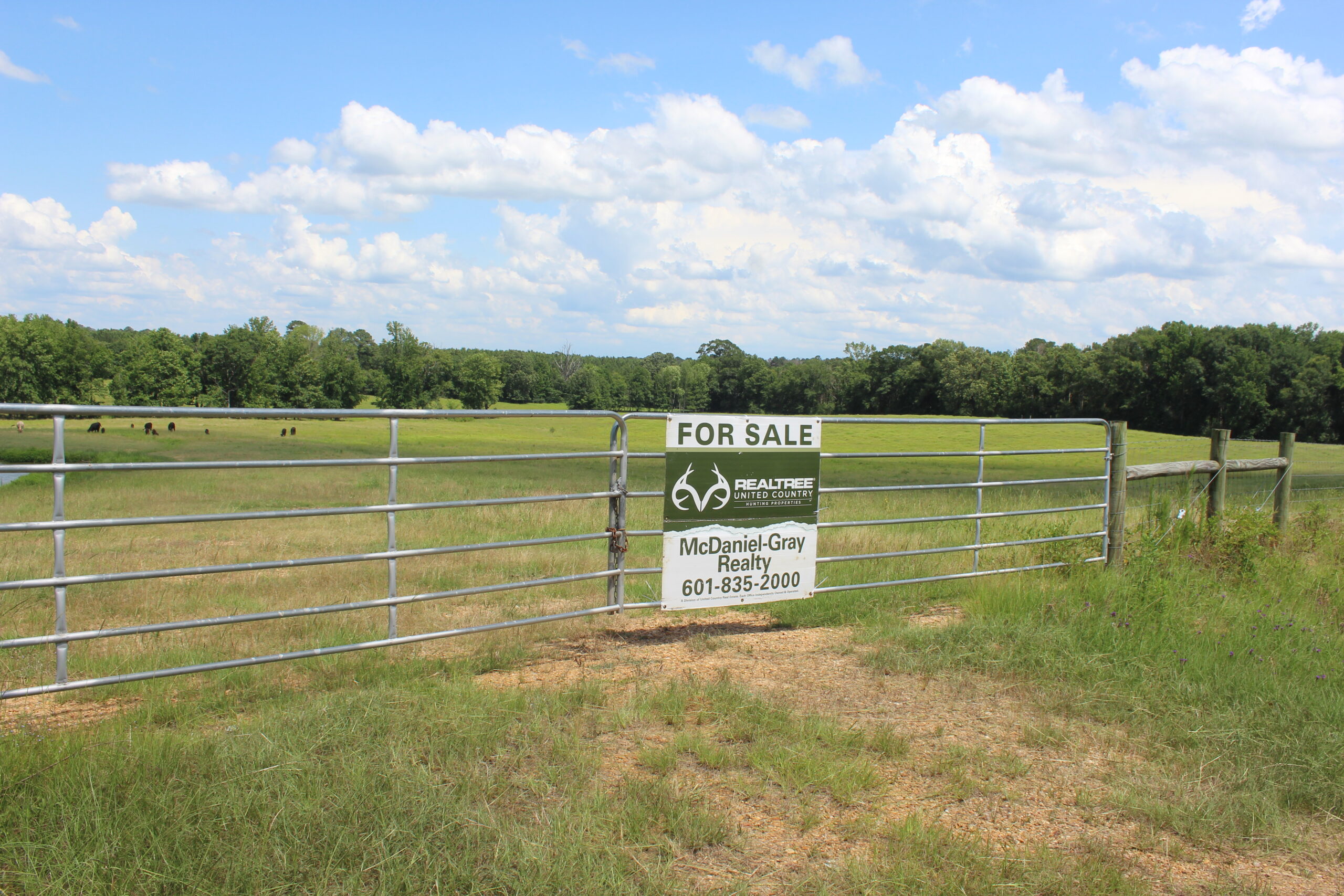 Cattle Farm For Sale also offers Good Hunting for Deer and Turkey