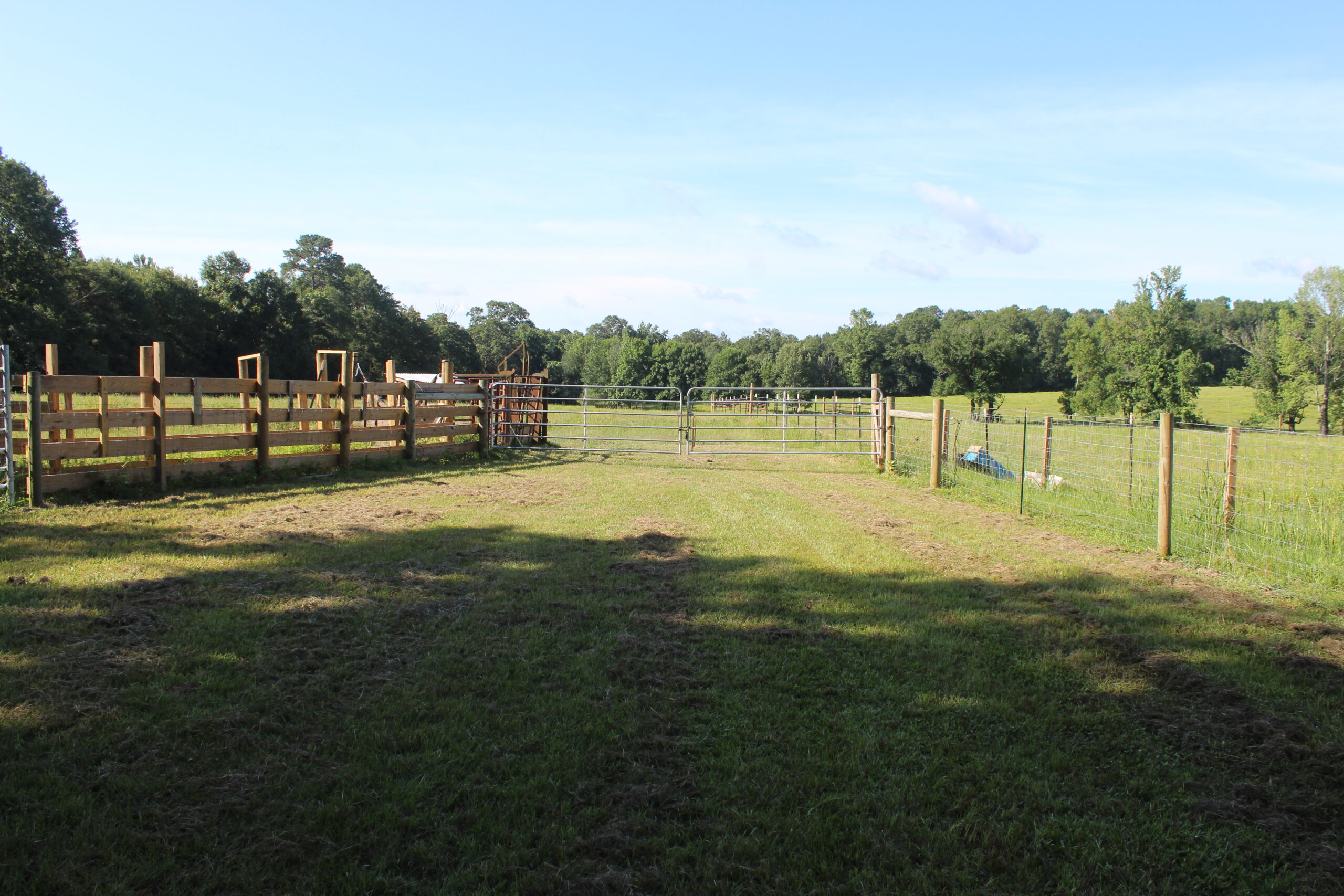 Cattle Farm For Sale also offers Good Hunting for Deer and Turkey