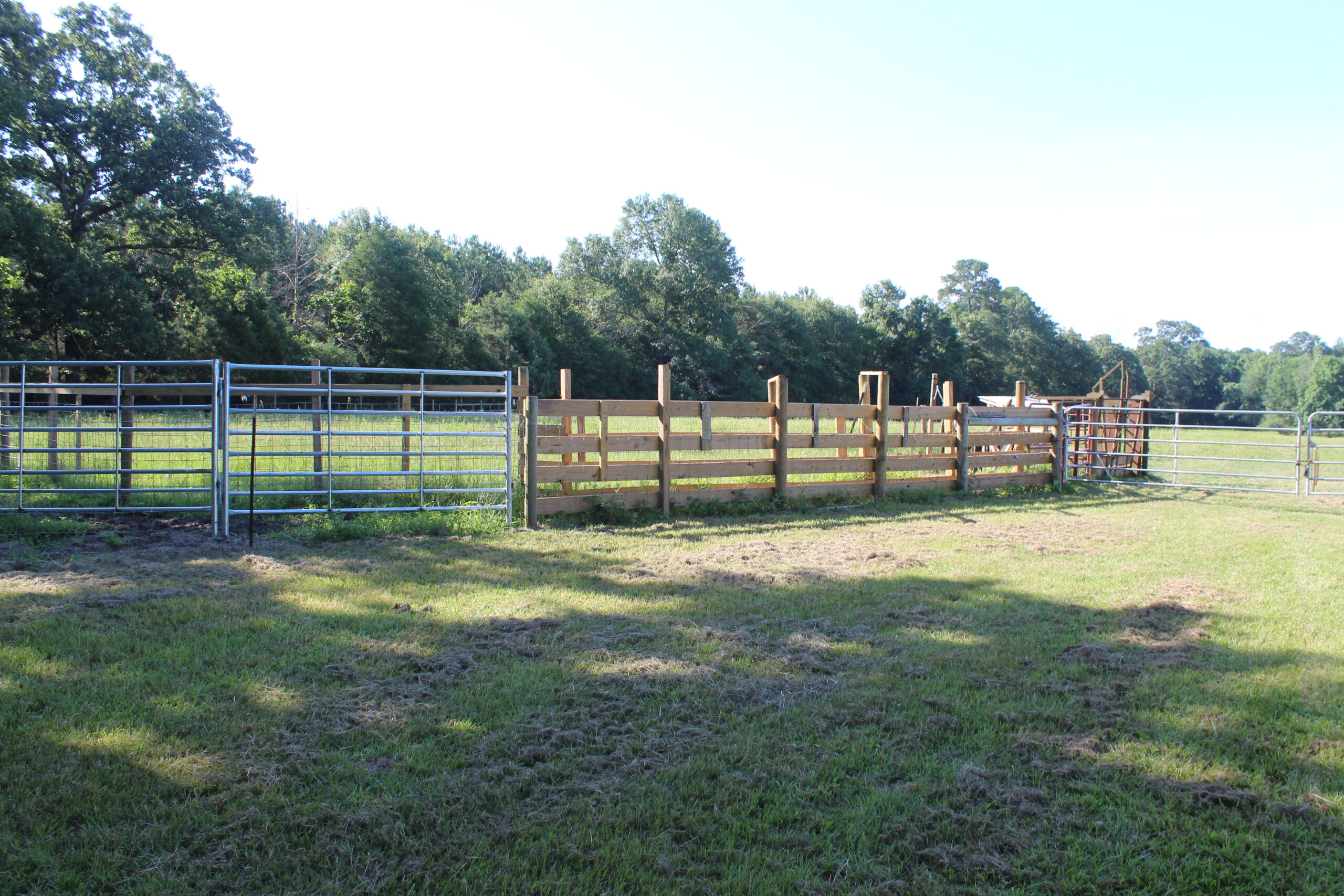 Cattle Farm For Sale also offers Good Hunting for Deer and Turkey