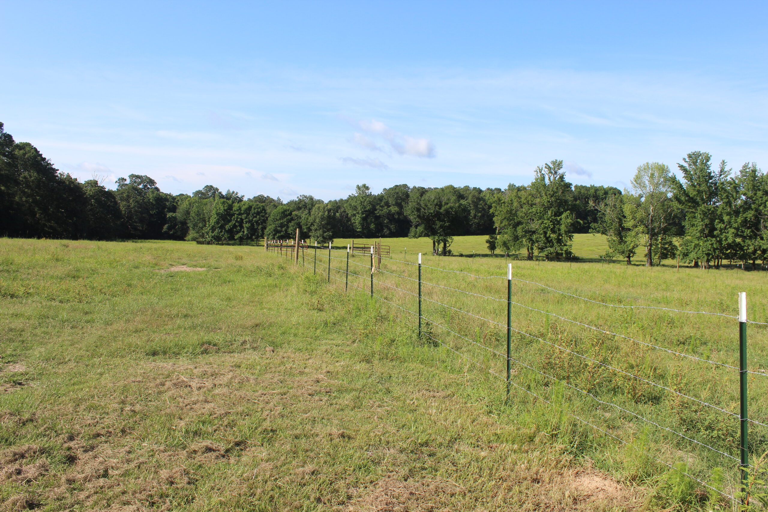 Cattle Farm For Sale also offers Good Hunting for Deer and Turkey