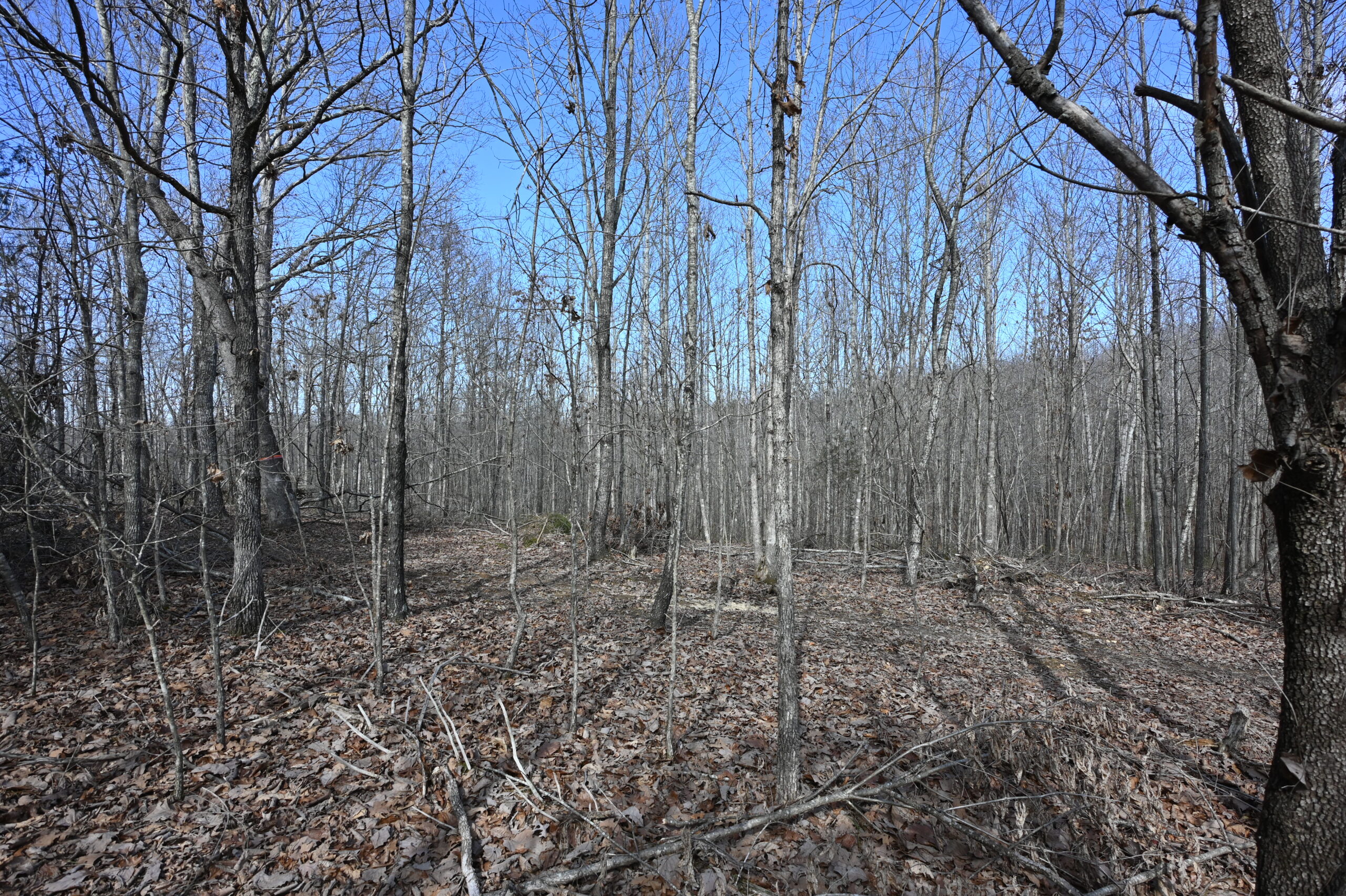 12.33 Acres Land for Sale in Perry County, Tennessee