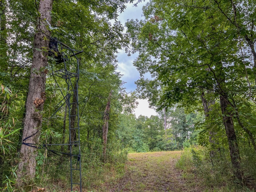 Hunting Land for Sale in Hinds County, MS