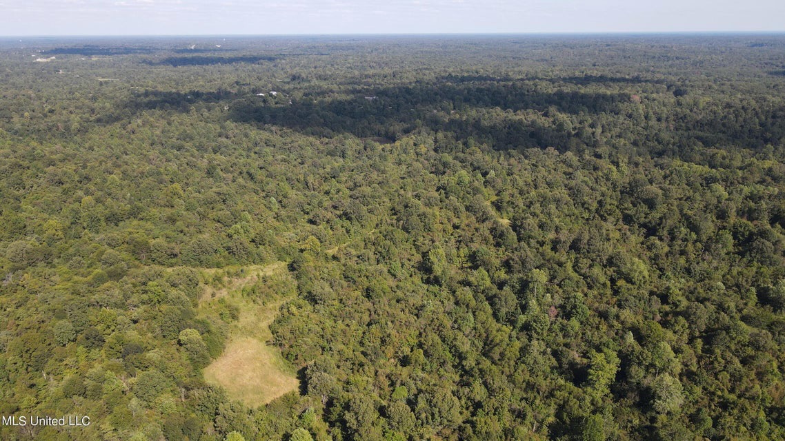 60 Acres For Sale In Yazoo County, MS