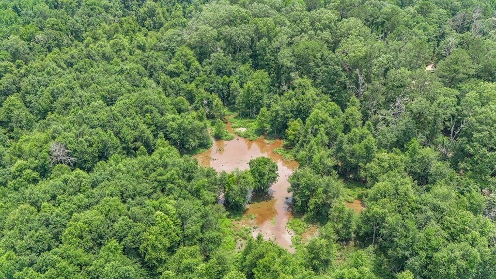 345 Acres with Camp, Creek bordering National Forest in SWMS
