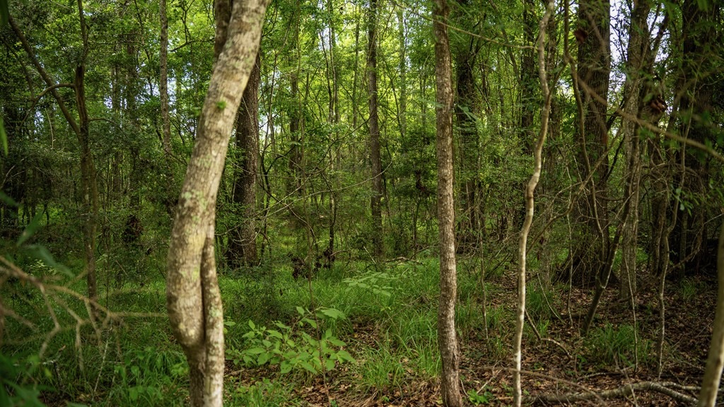 East Baton Rouge Recreational Land for Sale