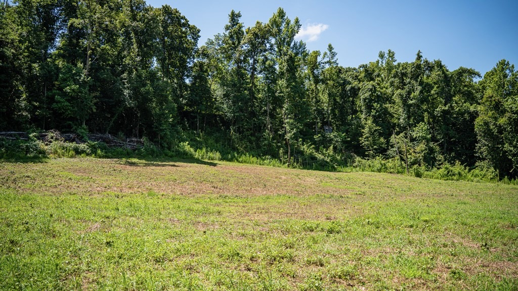 Hunting Land in Claiborne County, MS – Lonesome Pine