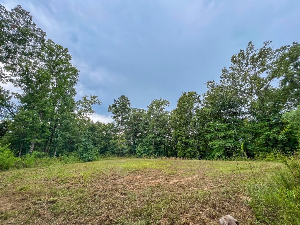 Hunting Land for Sale in Hinds County, MS