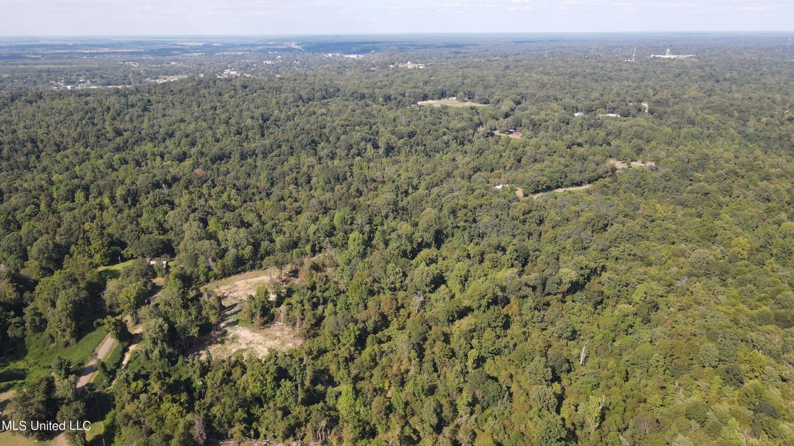 60 Acres For Sale In Yazoo County, MS