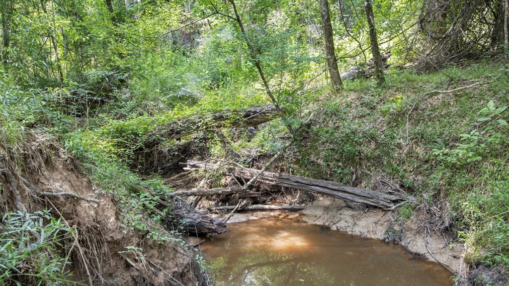 345 Acres with Camp, Creek bordering National Forest in SWMS