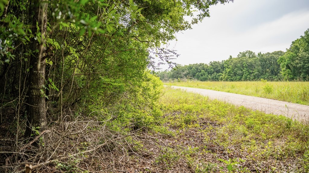 East Baton Rouge Recreational Land for Sale
