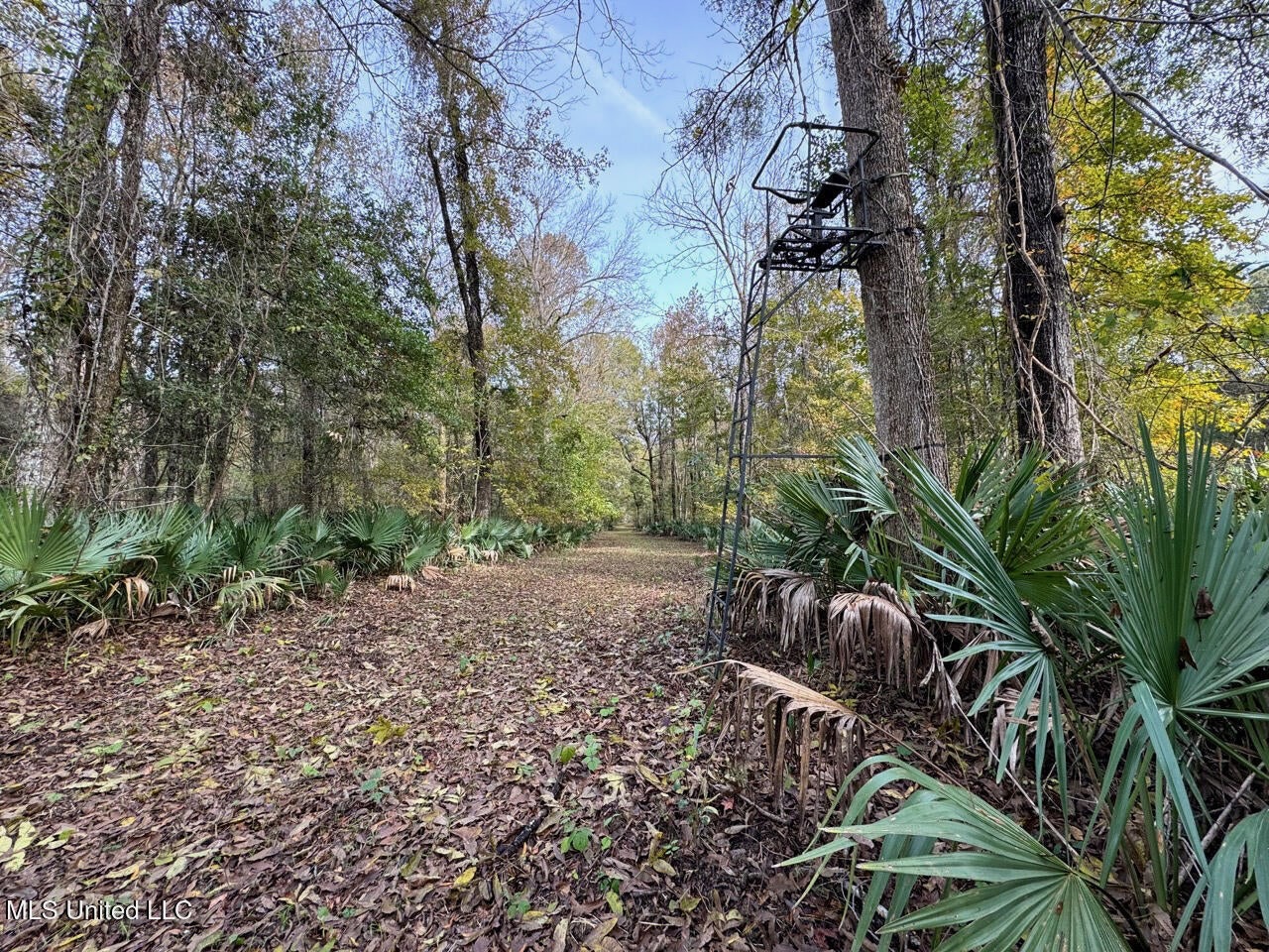 Tensas Parish LA – The Glade Hunting Property