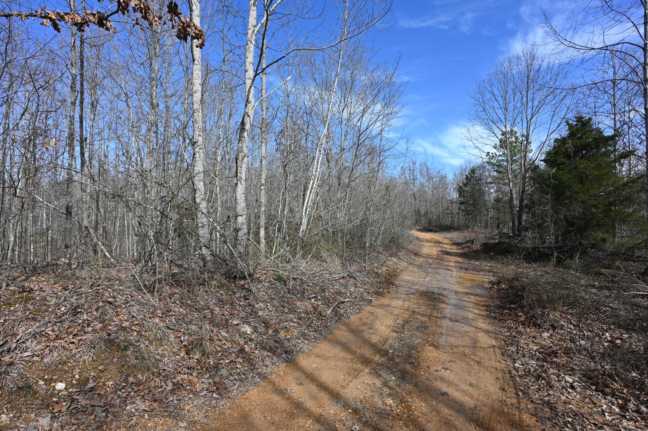 12.33 Acres Land for Sale in Perry County, Tennessee