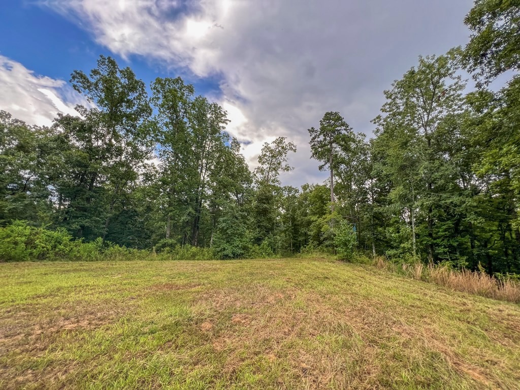Hunting Land for Sale in Hinds County, MS