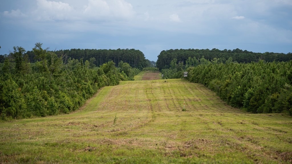 Mississippi Hunting Land – Easy 88 in Magnolia/Osyka