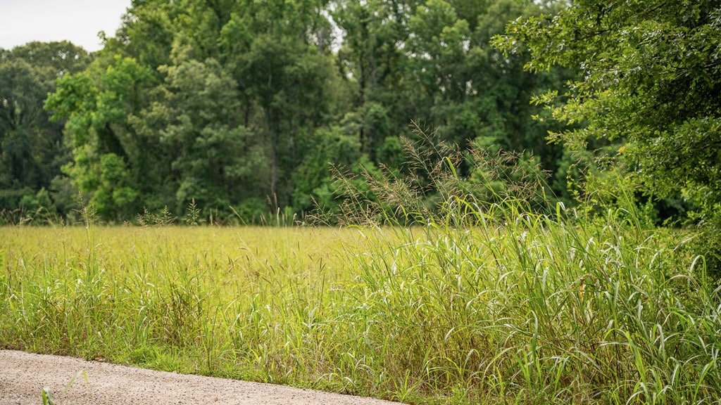East Baton Rouge Recreational Land for Sale