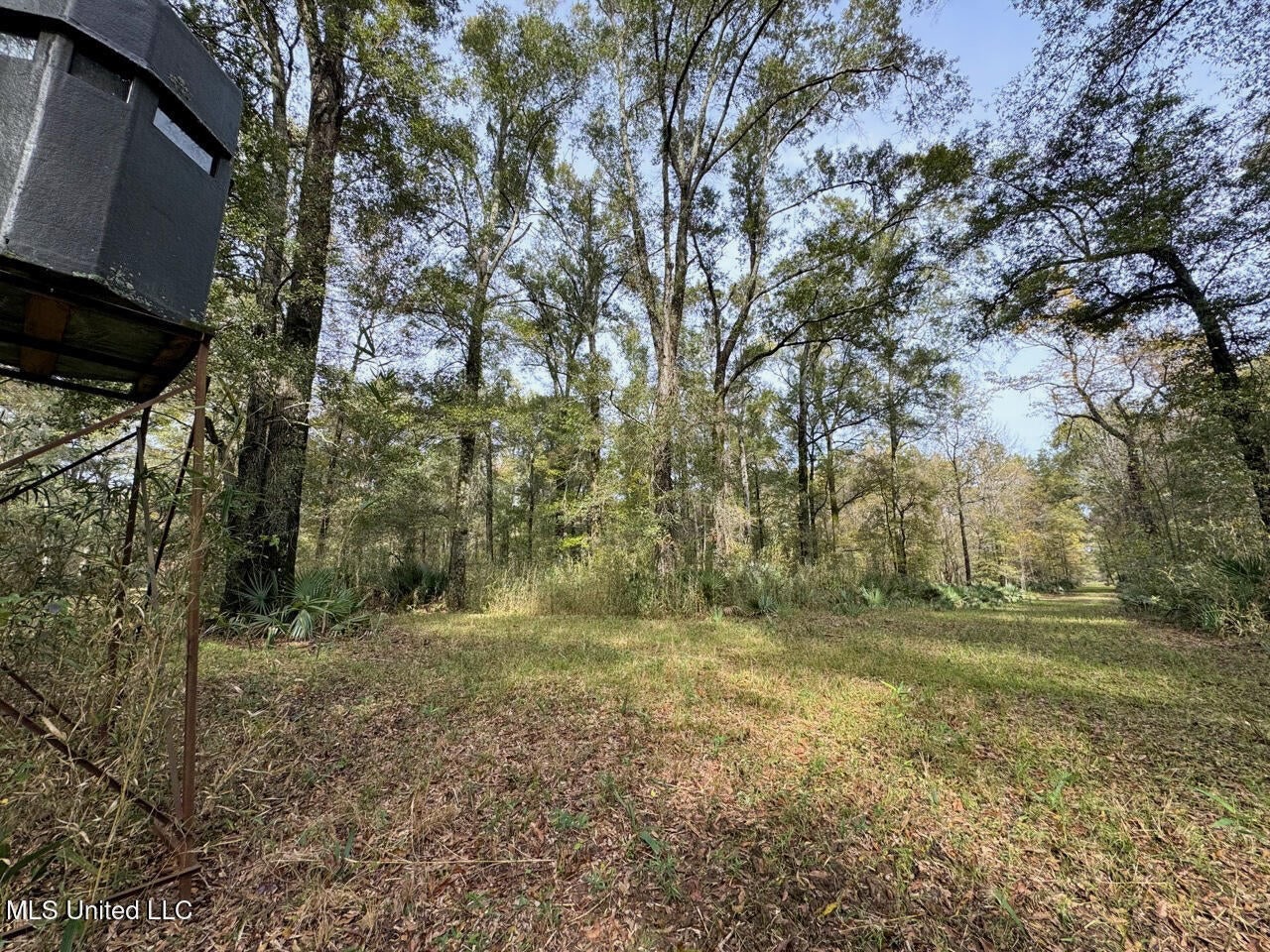 Tensas Parish LA – The Glade Hunting Property