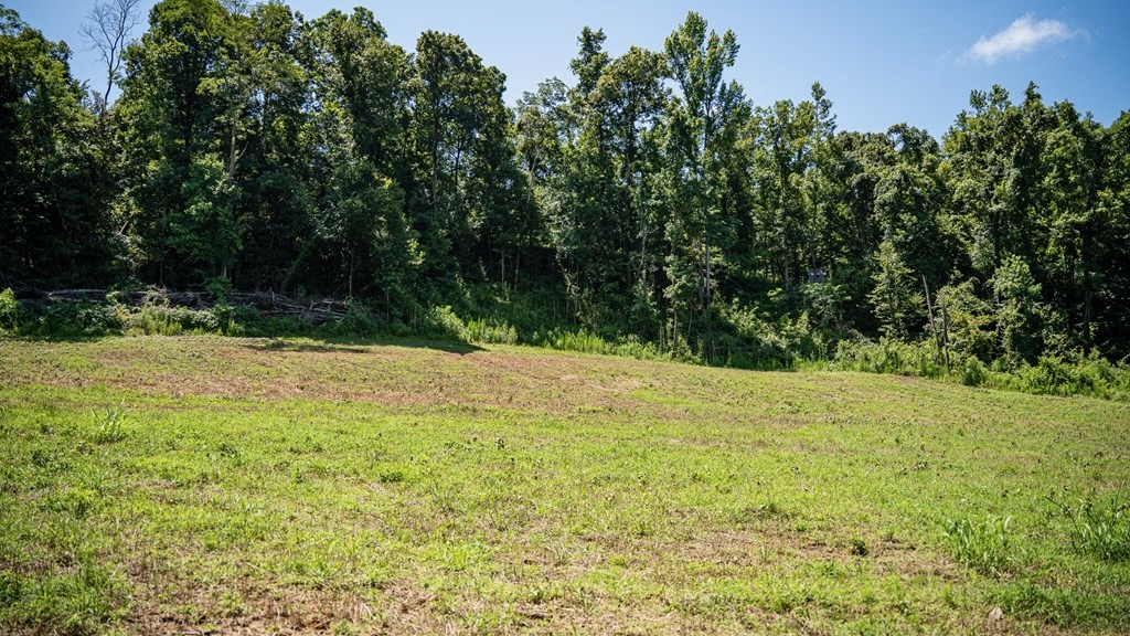 Hunting Land in Claiborne County, MS – Lonesome Pine