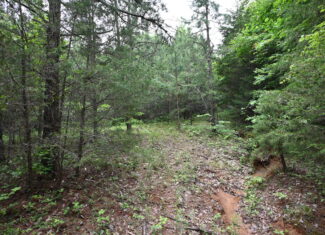 65.84 Acres for Sale in Decaturville, Tennessee