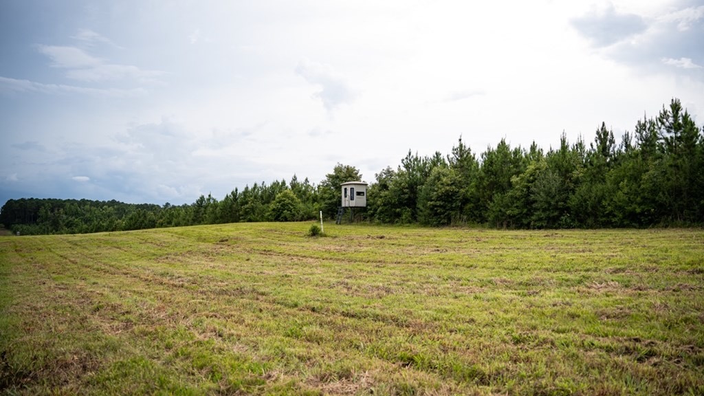 Mississippi Hunting Land – Easy 88 in Magnolia/Osyka