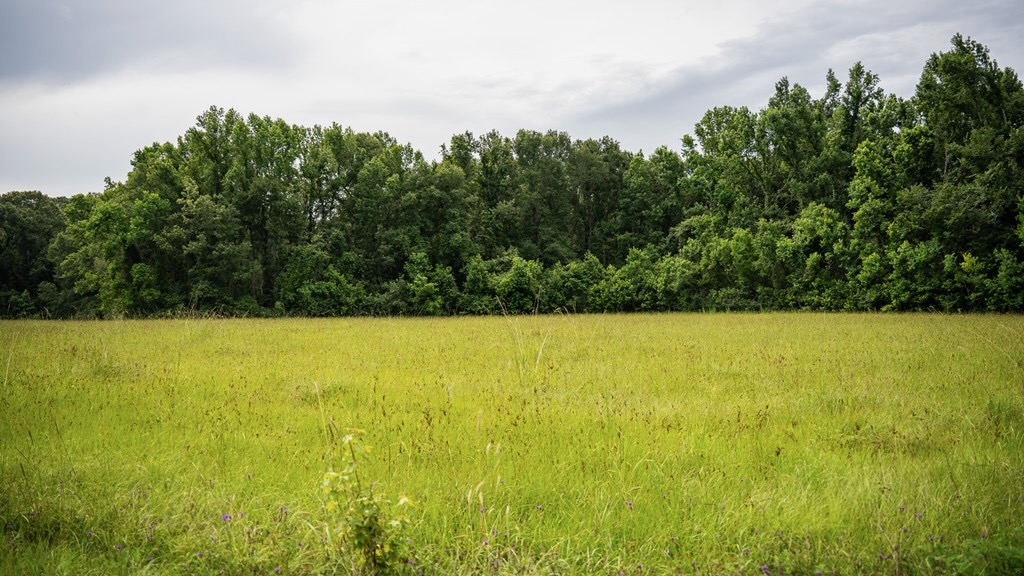 East Baton Rouge Recreational Land for Sale