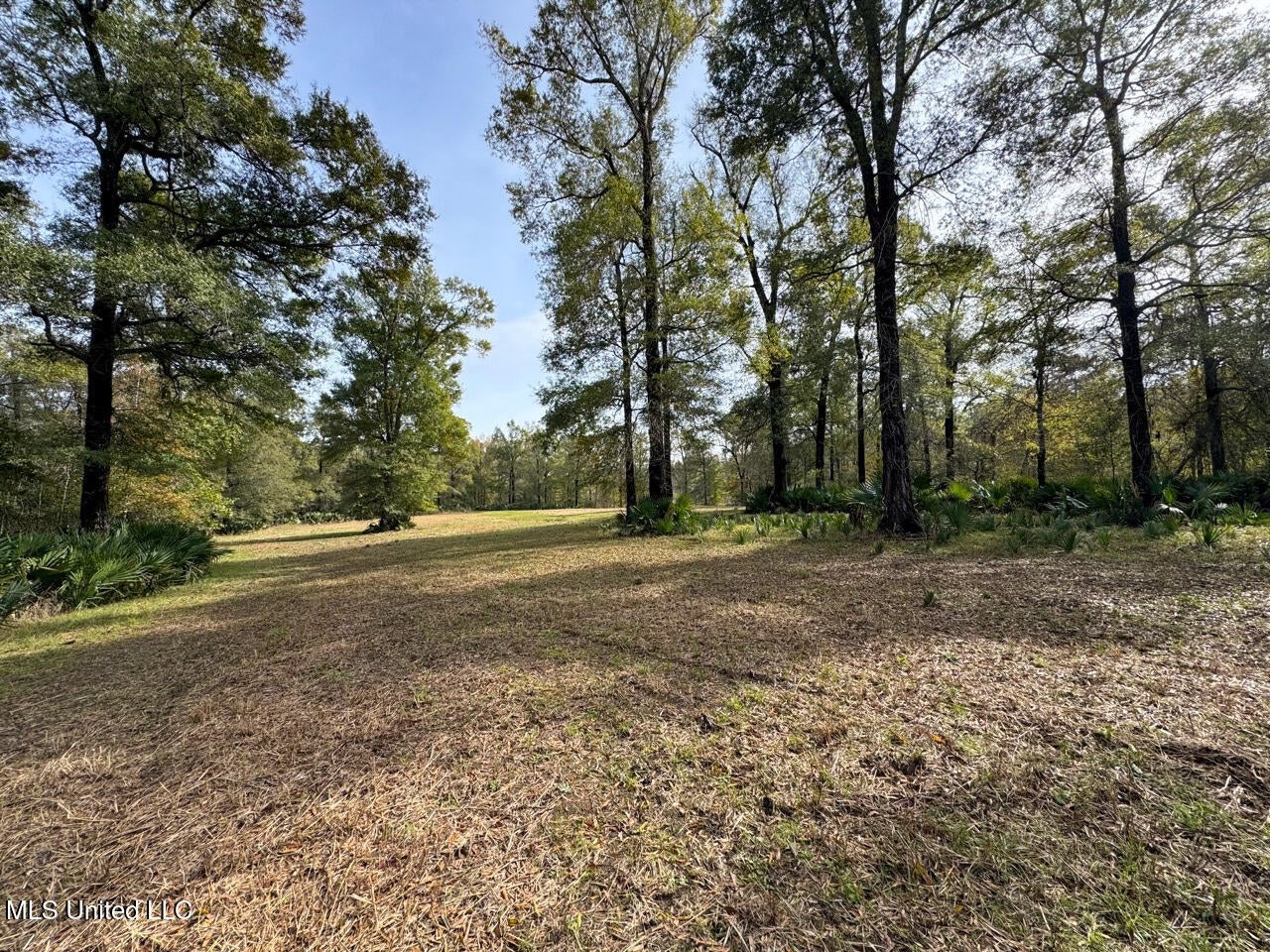 Tensas Parish LA – The Glade Hunting Property